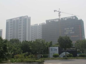 抢租南沙城好房 超低价机会，先到先得，可注册公司