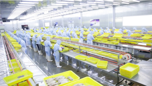 新质供给撬动内需蓝海 85后海归借力拼多多，鱿鱼仔年销千万的转型启示